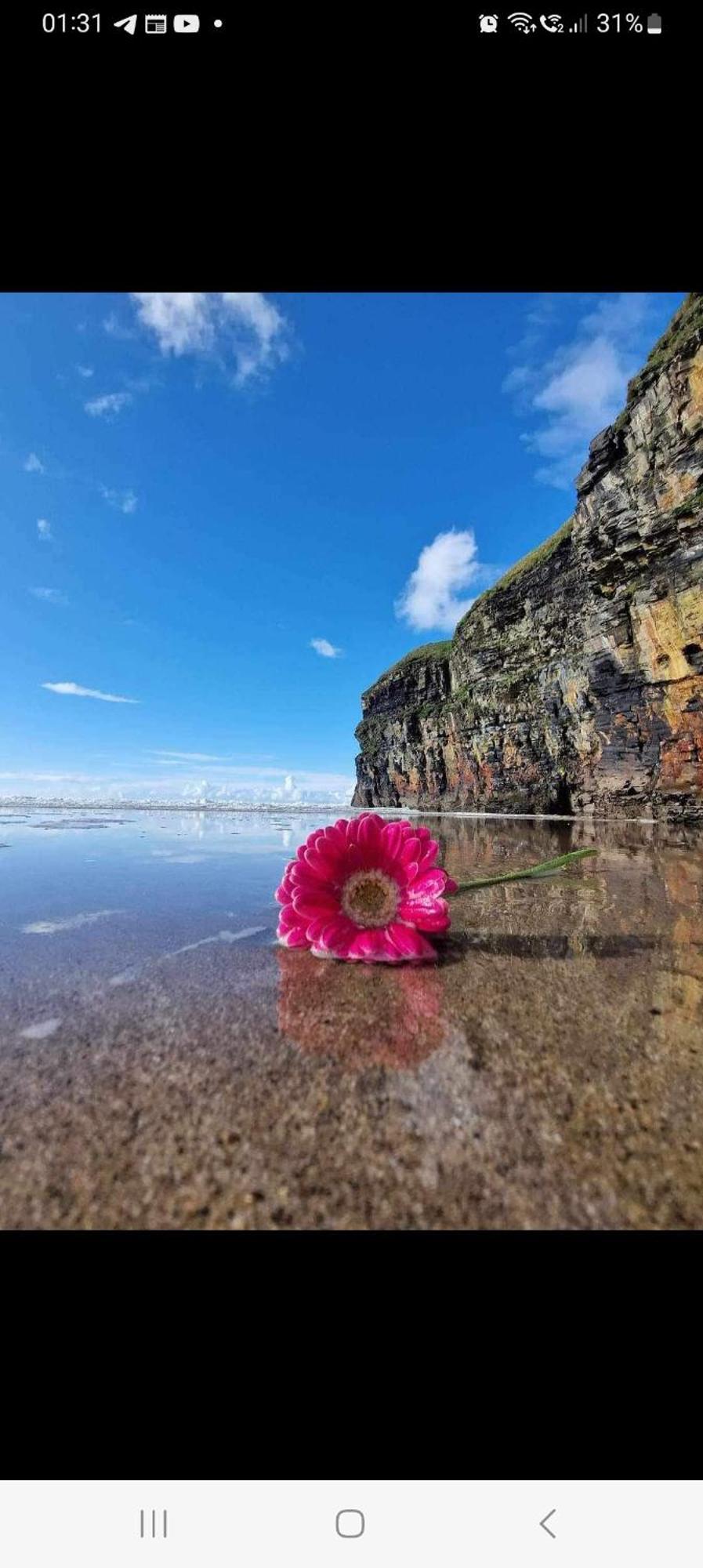 Luxury Holiday Rental With Sea Views On The Wild Atlantic Way Tralee Bagian luar foto